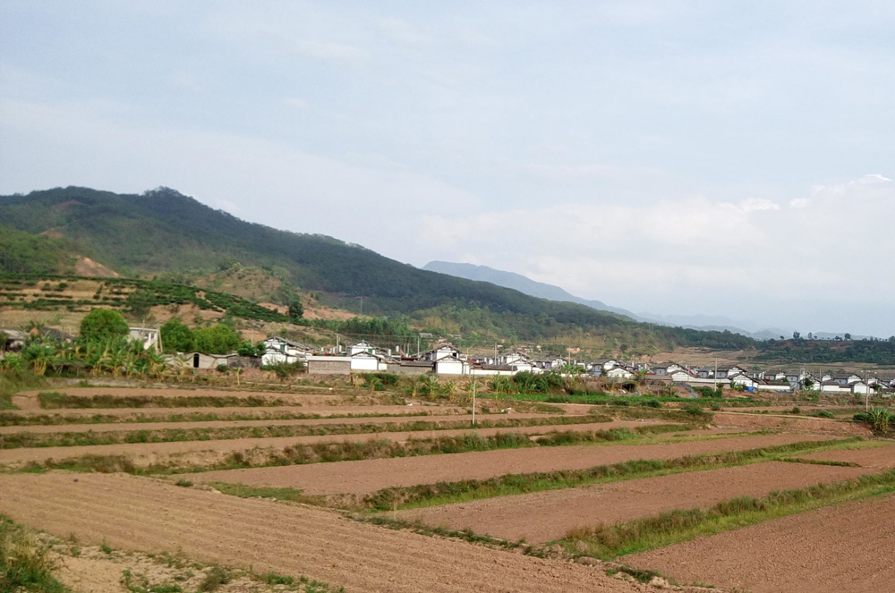 退耕还林款发放情况被告知“不存在”？问东答西显属告知错误！